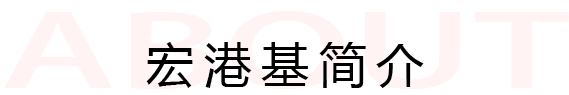 公司简介